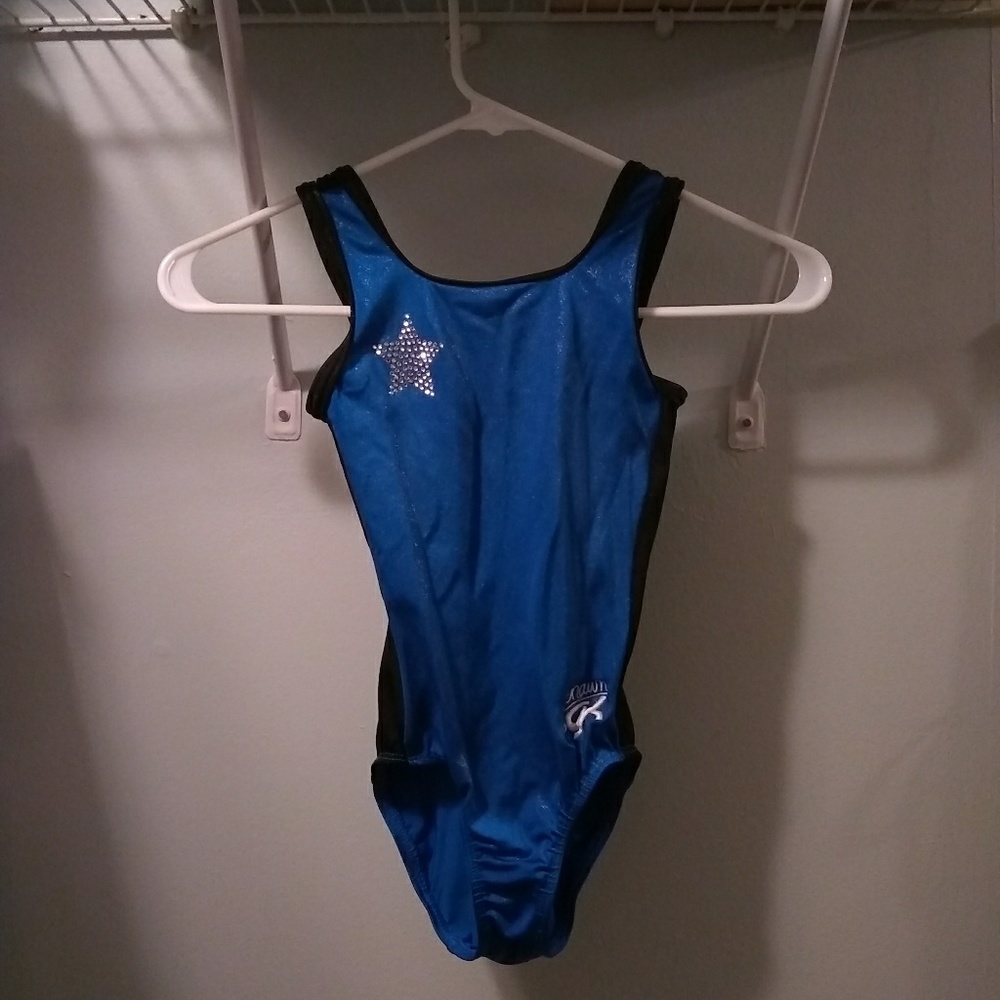 Blue and black GK Shawn Johnson leotard